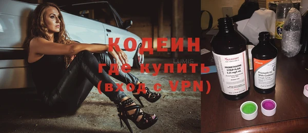 индика Абинск