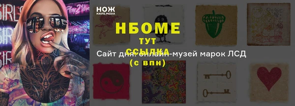крисы Корсаков