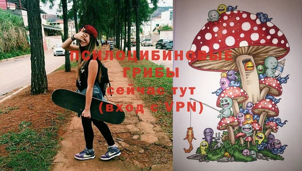 индика Абинск