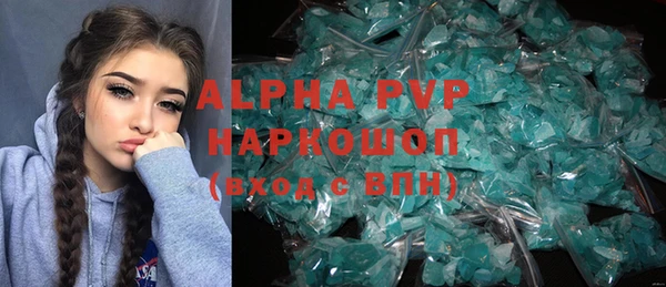 индика Абинск