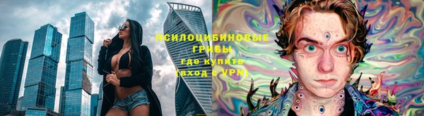 индика Абинск